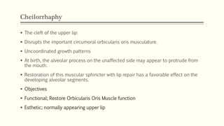 Cheilorrhaphy
 The cleft of the upper lip:
 Disrupts the important circumoral orbicularis oris musculature.
 Uncoordinated growth patterns
 At birth, the alveolar process on the unaffected side may appear to protrude from
the mouth.
 Restoration of this muscular sphincter with lip repair has a favorable effect on the
developing alveolar segments.
 Objectives
 Functional; Restore Orbicularis Oris Muscle function
 Esthetic; normally appearing upper lip
 