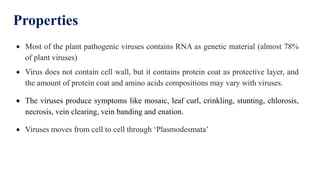 Properties
 Most of the plant pathogenic viruses contains RNA as genetic material (almost 78%
of plant viruses)
 Virus does not contain cell wall, but it contains protein coat as protective layer, and
the amount of protein coat and amino acids compositions may vary with viruses.
 The viruses produce symptoms like mosaic, leaf curl, crinkling, stunting, chlorosis,
necrosis, vein clearing, vein banding and enation.
 Viruses moves from cell to cell through ‘Plasmodesmata’
 