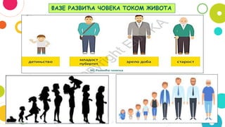 11
ФАЗЕ РАЗВИЋА ЧОВЕКА ТОКОМ ЖИВОТА
 