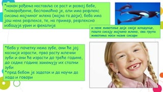 5
*након рођења наставља се раст и развој бебе,
*новорођенче, беспомоћно је, али има рефлекс
сисања мајчиног млека (мајка га доји), беба има
још неке рефлексе, те, на пример, рефлексно
избацује урин и фекалије
и неке животиње доје своје младунце,
пошто сисају мајчино млеко, ова група
животиња носи назив сисари
*беба у почетку нема зубе, они ће јој
касније израсти, прво расту млечни
зуби и они ће израсти до треће године,
до седме године замењују их стални
зуби
*пред бебом је задатак и да научи да
хода и говори
 