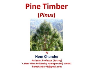 Pine Timber
(Pinus)
By
Hem Chander
Assistant Professor (Botany)
Career Point University Hamirpur (HP) 176041
hemchander78@gmail.com
 