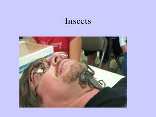 Paranoia Insect Project on phobia and types of phobia and it's factors | PPT