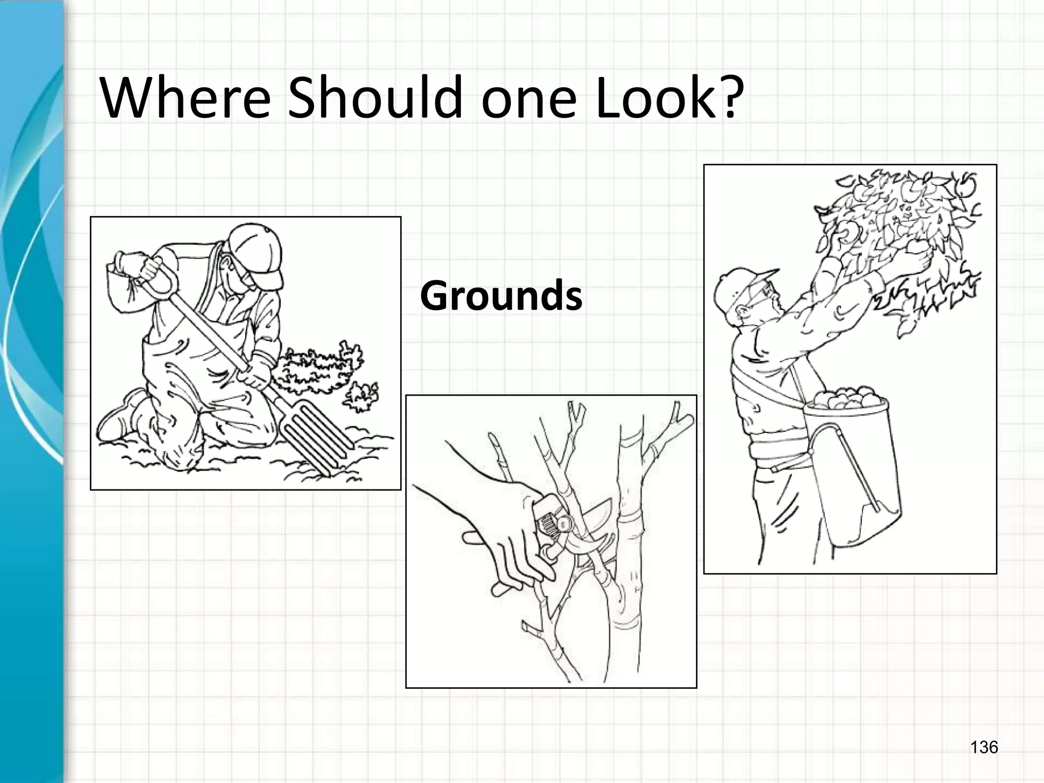 136
Where Should one Look?
Grounds
 