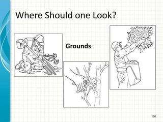136
Where Should one Look?
Grounds
 