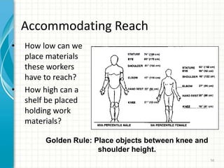 Accommodating Reach
• How low can we
place materials
these workers
have to reach?
• How high can a
shelf be placed
holding work
materials?
Golden Rule: Place objects between knee and
shoulder height.
56
 