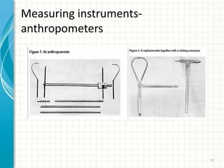Measuring instruments-
anthropometers
57
 