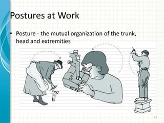 Postures at Work
• Posture - the mutual organization of the trunk,
head and extremities
63
 
