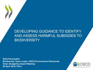 Katia Karousakis
Biodiversity Team Leader, OECD Environment Directorate
Green Budgeting Expert Meeting
29 April 2019, Paris
DEVELOPING GUIDANCE TO IDENTIFY
AND ASSESS HARMFUL SUBSIDIES TO
BIODIVERSITY
 
