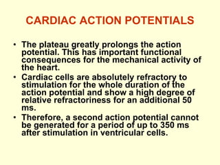 CARDIAC ACTION POTENTIALS The plateau greatly prolongs the action potential. This has important functional consequences for the mechanical activity of the heart.  Cardiac cells are absolutely refractory to stimulation for the whole duration of the action potential and show a high degree of relative refractoriness for an additional 50 ms.  Therefore, a second action potential cannot be generated for a period of up to 350 ms after stimulation in ventricular cells. 