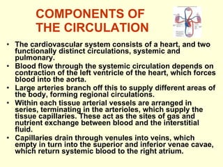 COMPONENTS OF THE CIRCULATION The cardiovascular system consists of a heart, and two functionally distinct circulations, systemic and pulmonary. Blood flow through the systemic circulation depends on contraction of the left ventricle of the heart, which forces blood into the aorta.  Large arteries branch off this to supply different areas of the body, forming regional circulations. Within each tissue arterial vessels are arranged in series, terminating in the arterioles, which supply the tissue capillaries. These act as the sites of gas and nutrient exchange between blood and the interstitial fluid. Capillaries drain through venules into veins, which empty in turn into the superior and inferior venae cavae, which return systemic blood to the right atrium. 