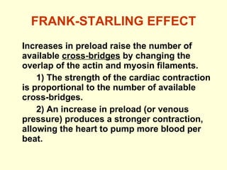 FRANK-STARLING EFFECT Increases in preload raise the number of available  cross-bridges  by changing the overlap of the actin and myosin filaments. 1) The strength of the cardiac contraction is proportional to the number of available cross-bridges. 2) An increase in preload (or venous pressure) produces a stronger contraction, allowing the heart to pump more blood per beat. 