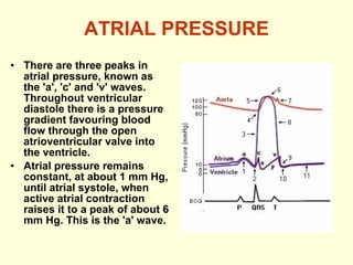 ATRIAL PRESSURE There are three peaks in atrial pressure, known as the 'a', 'c' and 'v' waves. Throughout ventricular diastole there is a pressure gradient favouring blood flow through the open atrioventricular valve into the ventricle.  Atrial pressure remains constant, at about 1 mm Hg, until atrial systole, when active atrial contraction raises it to a peak of about 6 mm Hg. This is the 'a' wave. 