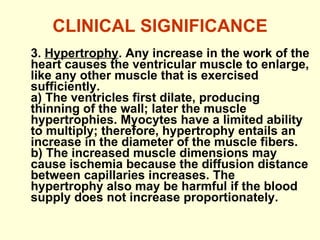 CLINICAL SIGNIFICANCE 3.  Hypertrophy . Any increase in the work of the heart causes the ventricular muscle to enlarge, like any other muscle that is exercised sufficiently. a) The ventricles first dilate, producing thinning of the wall; later the muscle hypertrophies. Myocytes have a limited ability to multiply; therefore, hypertrophy entails an increase in the diameter of the muscle fibers. b) The increased muscle dimensions may cause ischemia because the diffusion distance between capillaries increases. The hypertrophy also may be harmful if the blood supply does not increase proportionately. 
