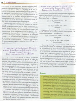 29   equilibrio ácido-base