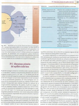 29   equilibrio ácido-base