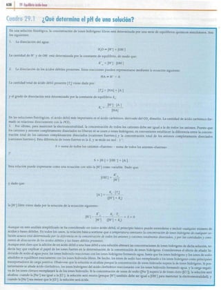 29   equilibrio ácido-base