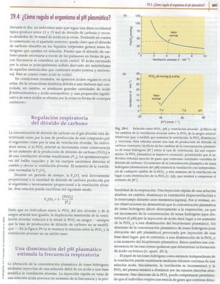 29   equilibrio ácido-base