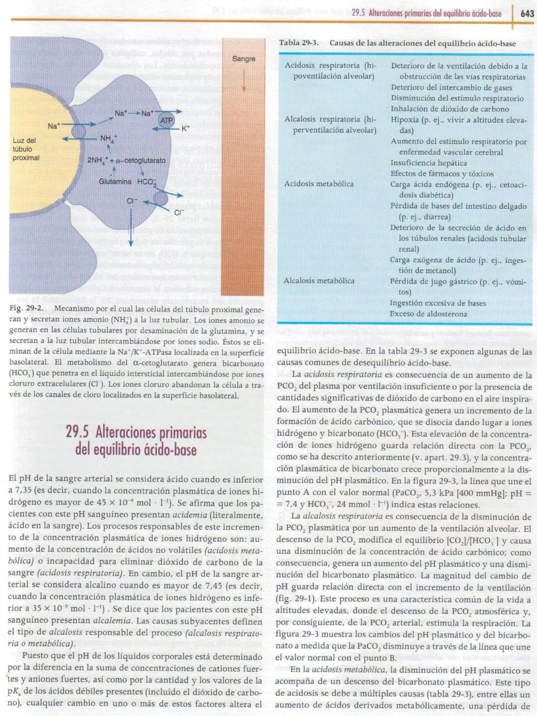 29   equilibrio ácido-base