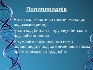 Полиплоидија
• Ретка код животиња (бескичмењаци,
  водоземци,рибе)
• Честа код биљака – крупније биљке и
  дају веће плодове
• У хуманим популацијама нема
  полиплоида, плод се елиминише током
  првог тромесечја трудноће.
 