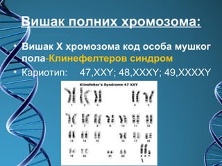 Вишак полних хромозома:
• Вишак Х хромозома код особа мушког
  пола-Клинефелтеров синдром
• Кариотип: 47,XXY; 48,XXXY; 49,XXXXY
 