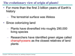 The evolutionary view of origin of plants! ,[object Object],[object Object],[object Object],[object Object],[object Object]