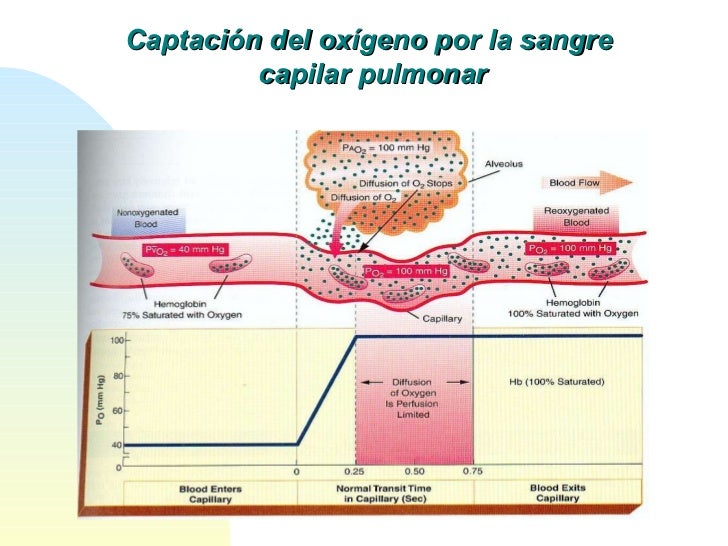 29. transporte