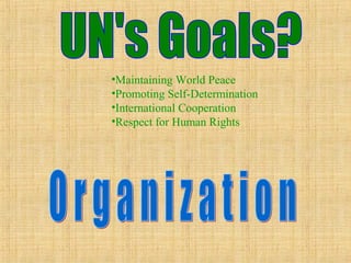•Maintaining World Peace
•Promoting Self-Determination
•International Cooperation
•Respect for Human Rights
 