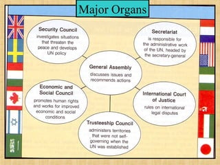 Major Organs
 