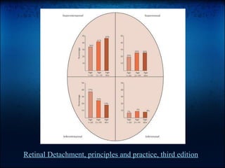 Retinal Detachment, principles and practice, third edition 