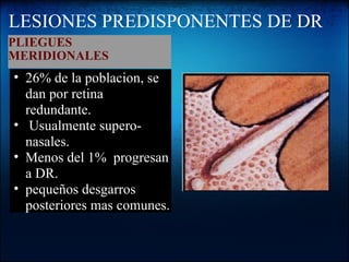 LESIONES PREDISPONENTES DE DR PLIEGUES MERIDIONALES   26% de la poblacion, se dan por retina redundante.   Usualmente supero-nasales. Menos del 1%  progresan a DR. pequeños desgarros posteriores mas comunes.  