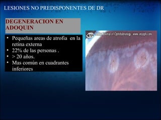 LESIONES NO PREDISPONENTES DE DR DEGENERACION EN  ADOQUIN   Pequeñas areas de atrofia  en la retina externa  22% de las personas . > 20 años.  Mas común en cuadrantes inferiores 