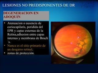 LESIONES NO PREDISPONENTES DE DR DEGENERACION EN  ADOQUIN   Atenuacion o ausencia de coriocapilaris, peridida del EPR y capas externas de la Retina,adhesion entre capas internas y membrana de Bruch´s. Nunca es el sitio primario de un desgarro retinal .  zonas de protección.  