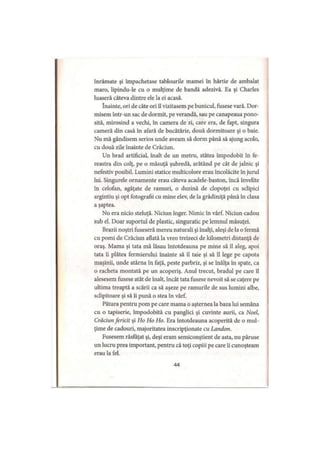 înrămate şi împachetase tablourile mamei în hârtie de ambalat
maro, lipindu-le cu o mulţime de bandă adezivă. Ea şi Charles
luaseră câteva dintre ele la ei acasă.
înainte, ori de câte ori îl vizitasem pe bunicul, fusese vară. Dor-
misem într-un sac de dormit, pe verandă, sau pe canapeaua pono­
sită, mirosind a vechi, în camera de zi, care era, de fapt, singura
cameră din casă în afară de bucătărie, două dormitoare şi o baie.
Nu mă gândisem serios unde aveam să dorm până să ajung acolo,
cu două zile înainte de Crăciun.
Un brad artificial, înalt de un metru, stătea împodobit în fe­
reastra din colţ, pe o măsuţă şubredă, arătând pe cât de jalnic şi
nefestiv posibil. Lumini statice multicolore erau încolăcite în jurul
lui. Singurele ornamente erau câteva acadele-baston, încă învelite
în celofan, agăţate de ramuri, o duzină de clopoţei cu sclipici
argintiu şi opt fotografii cu mine elev, de la grădiniţă până în clasa
a şaptea.
Nu era nicio steluţă. Niciun înger. Nimic în vârf. Niciun cadou
sub el. Doar suportul de plastic, singuratic pe lemnul măsuţei.
Brazii noştri fuseseră mereu naturali şi înalţi, aleşi de la o fermă
cu pomi de Crăciun aflată la vreo treizeci de kilometri distanţă de
oraş. Mama şi tata mă lăsau întotdeauna pe mine să îl aleg, apoi
tata îi plătea fermierului înainte să îl taie şi să îl lege pe capota
maşinii, unde atârna în faţă, peste parbriz, şi se înălţa în spate, ca
o racheta montată pe un acoperiş. Anul trecut, bradul pe care îl
alesesem fusese atât de înalt, încât tata fusese nevoit să se caţere pe
ultima treaptă a scării ca să aşeze pe ramurile de sus lumini albe,
sclipitoare şi să îi pună o stea în vârf.
Pătura pentru pom pe care mama o aşternea la baza lui semăna
cu o tapiserie, împodobită cu panglici şi cuvinte aurii, ca Noel,
Crăciun fericit şi Ho Ho Ho. Era întotdeauna acoperită de o mul­
ţime de cadouri, majoritatea inscripţionate cu Landon.
Fusesem răsfăţat şi, deşi eram semiconştient de asta, nu păruse
un lucru prea important, pentru că toţi copiii pe care îi cunoşteam
erau la fel.
44
 