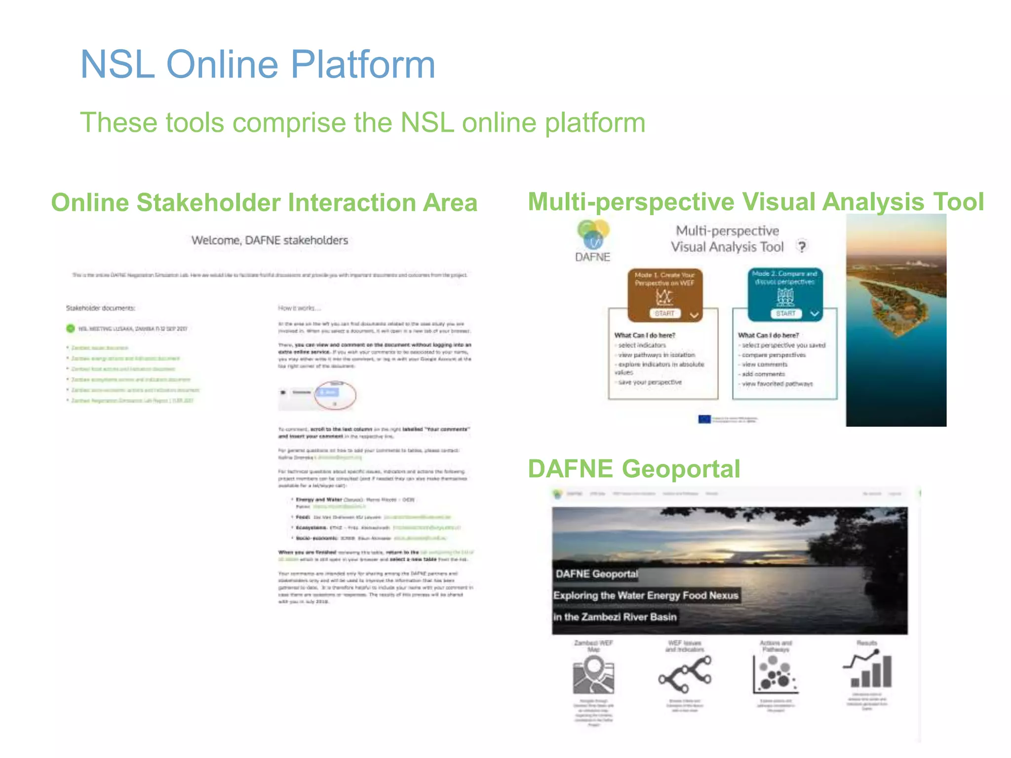 NSL Online Platform
These tools comprise the NSL online platform
Online Stakeholder Interaction Area Multi-perspective Visual Analysis Tool
DAFNE Geoportal
 
