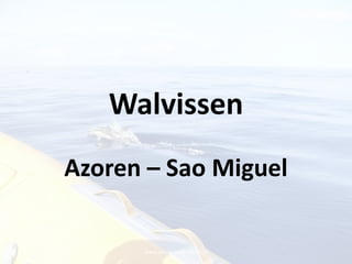 www.passie-voor-reizen.nl Walvissen Azoren – Sao Miguel 
