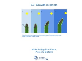 9.3. Growth in plants
Miltiadis-Spyridon Kitsos
Platon IB Diploma
https://upload.wikimedia.org/wikipedia/commons/thumb/1/14/Phototropism_Diagram.svg/
2000px-Phototropism_Diagram.svg.png
 