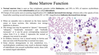 Bone marrow sinus, function cell production | PDF