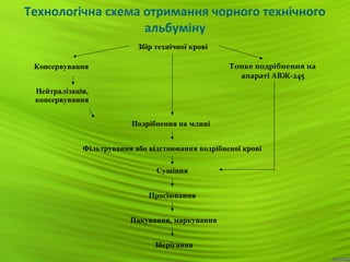 9
Технологічна схема отримання чорного технічного
альбуміну
Нейтралізація,
консервування
Подрібнення на млині
Фільтрування або відстоювання подрібненої крові
Сушіння
Просіювання
Пакування, маркування
Зберігання
Збір технічної крові
Консервування Тонке подрібнення на
апараті АВЖ-245
 