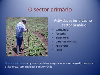 O sector primário
                                            Actividades incluídas no
                                                 sector primário:
                                        •    Agricultura;
                                        •    Pecuária;
                                        •    Silvicultura;
                                        •    Extracção mineira;
                                        •    Apicultura;
                                        •    Pesca;



O sector primário – engloba as actividades que extraem recursos directamente
da Natureza, sem qualquer transformação
 