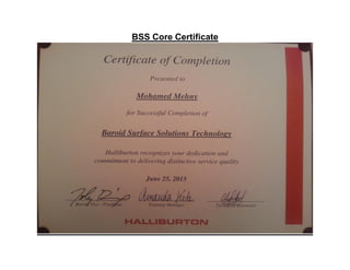 BSS Core Certificate
 