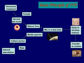 Hormonal
treatment
Female
Harvest
the ovum
Mix in a test tube
Natural
ejaculation
Collect semen
Mature Ova
Motile sperms
Keep to
develop
embryo
Transfer
to mother
Male
Basic Principle of IVF
 