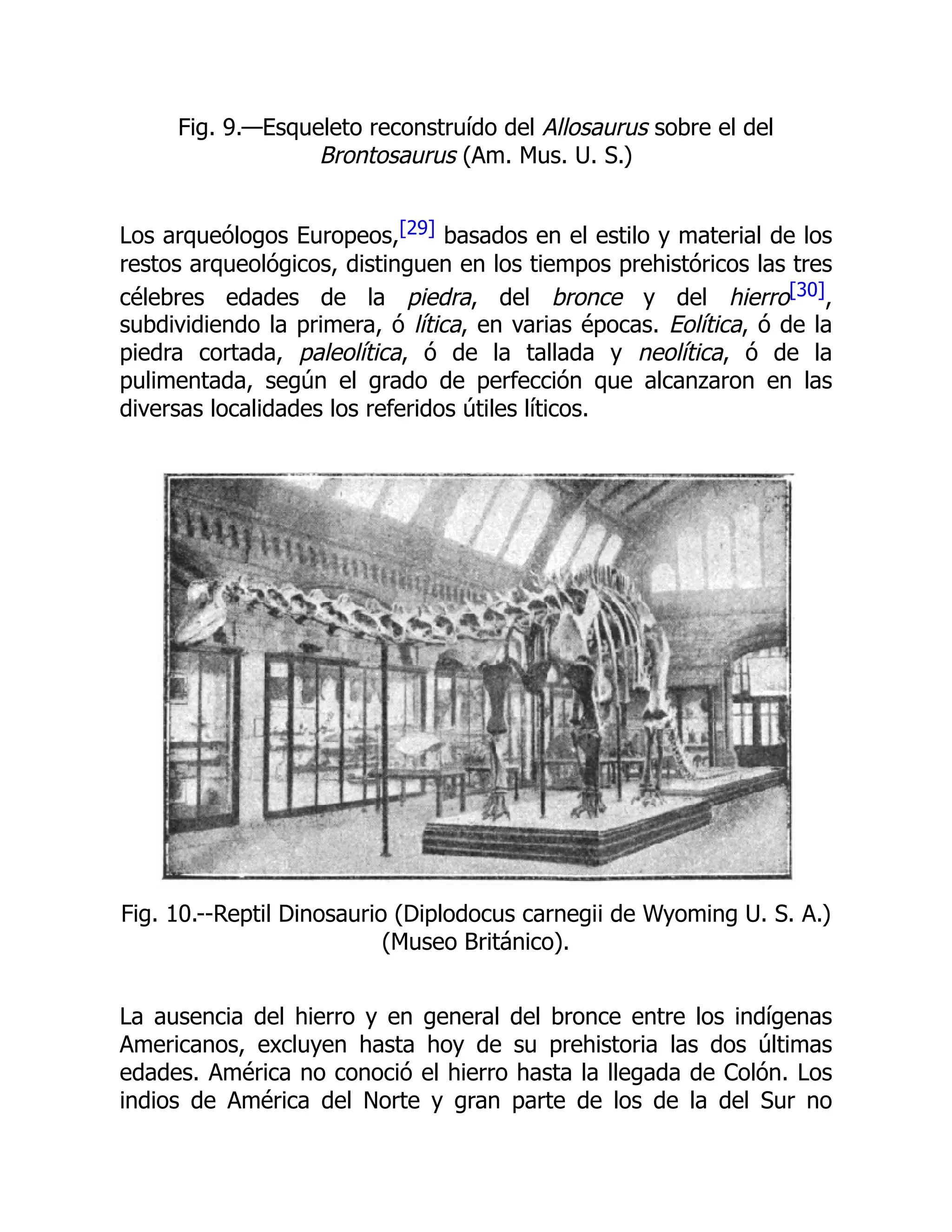 Fig. 9.—Esqueleto reconstruído del Allosaurus sobre el del
Brontosaurus (Am. Mus. U. S.)
Los arqueólogos Europeos,[29] basados en el estilo y material de los
restos arqueológicos, distinguen en los tiempos prehistóricos las tres
célebres edades de la piedra, del bronce y del hierro[30],
subdividiendo la primera, ó lítica, en varias épocas. Eolítica, ó de la
piedra cortada, paleolítica, ó de la tallada y neolítica, ó de la
pulimentada, según el grado de perfección que alcanzaron en las
diversas localidades los referidos útiles líticos.
Fig. 10.--Reptil Dinosaurio (Diplodocus carnegii de Wyoming U. S. A.)
(Museo Británico).
La ausencia del hierro y en general del bronce entre los indígenas
Americanos, excluyen hasta hoy de su prehistoria las dos últimas
edades. América no conoció el hierro hasta la llegada de Colón. Los
indios de América del Norte y gran parte de los de la del Sur no
 