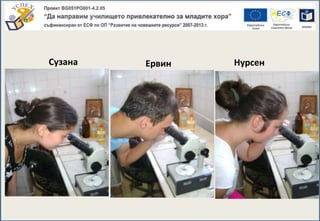 Ервин НурсенСузана
 