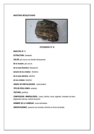 MUESTRAS RECOLECTADAS
FOTOGRAFIA Nº 14
MUESTRA Nº: 01
ESTRUCTURA: bandeada
COLOR: gris oscuro con bandas blanquesinas
De la muestra: gris oscuro
de la masa faneritica: blanquesina
tamaño de los cristales : faneritico
de la masa afanitica: afanitico
de los cristales: faneritico
GRADO DE CRISTALIZACION: merocristalina
TIPO DE ROCA IGNEA: andesita
TEXTURA: porfiritica
COMPOSICION MINERALOGICA: cuarzo, baritina, micas, argentita, minerales de hierro,
plagioclasa cálcicas, sulfuros de plomo.
NOMBRE DE LA VARIEDAD: rocas intermedias.
OBSERVACIONES: presencia de minerales distintos en forma de bandas
 