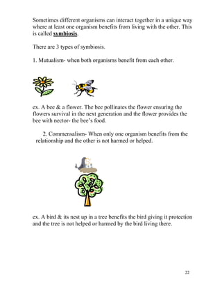 Sometimes different organisms can interact together in a unique way
where at least one organism benefits from living with the other. This
is called symbiosis.
There are 3 types of symbiosis.
1. Mutualism- when both organisms benefit from each other.

ex. A bee & a flower. The bee pollinates the flower ensuring the
flowers survival in the next generation and the flower provides the
bee with nector- the bee’s food.
2. Commensalism- When only one organism benefits from the
relationship and the other is not harmed or helped.

ex. A bird & its nest up in a tree benefits the bird giving it protection
and the tree is not helped or harmed by the bird living there.

22

 