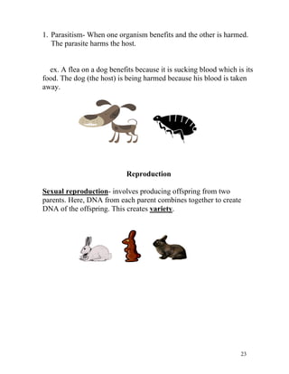 1. Parasitism- When one organism benefits and the other is harmed.
The parasite harms the host.
ex. A flea on a dog benefits because it is sucking blood which is its
food. The dog (the host) is being harmed because his blood is taken
away.

Reproduction
Sexual reproduction- involves producing offspring from two
parents. Here, DNA from each parent combines together to create
DNA of the offspring. This creates variety.

23

 