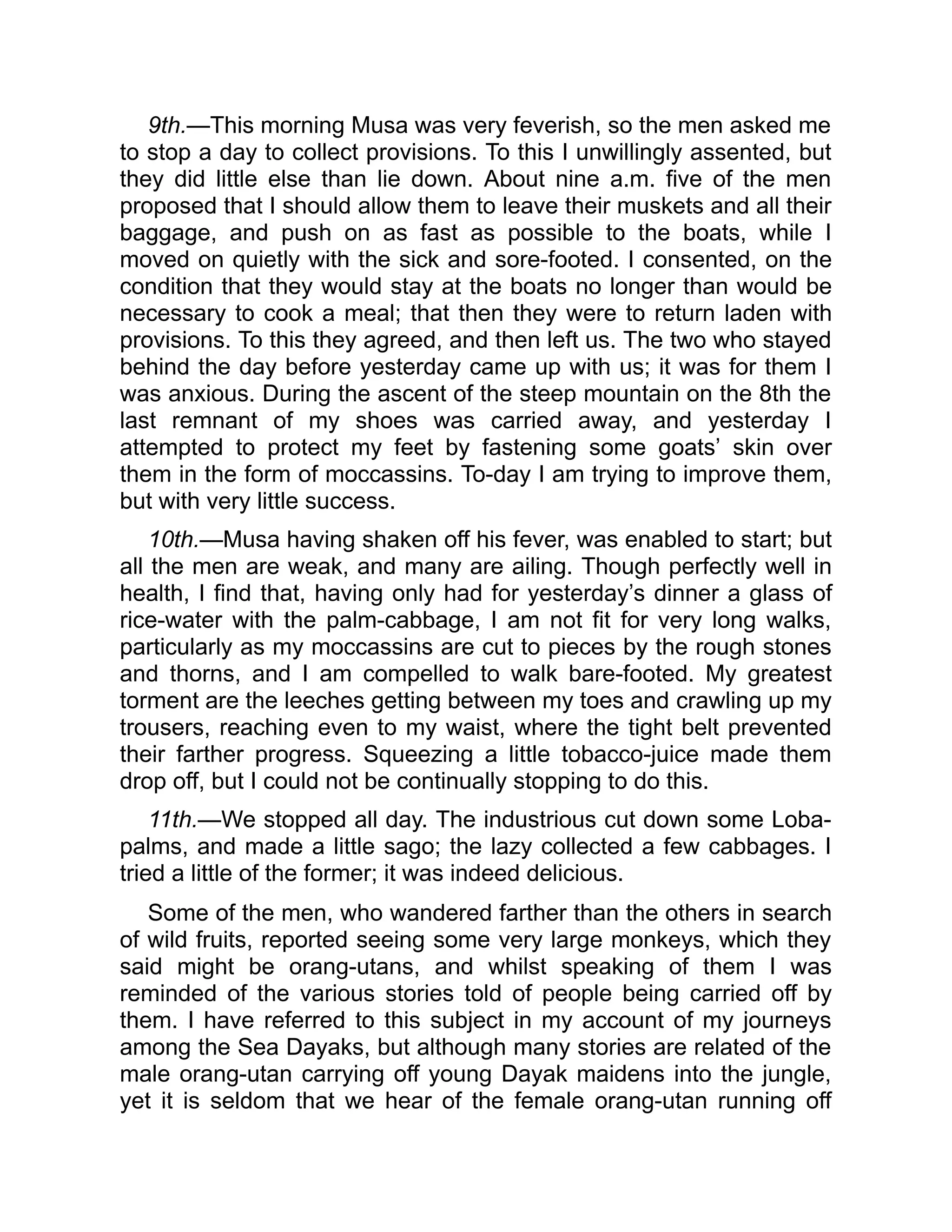 9th.—This morning Musa was very feverish, so the men asked me
to stop a day to collect provisions. To this I unwillingly assented, but
they did little else than lie down. About nine a.m. five of the men
proposed that I should allow them to leave their muskets and all their
baggage, and push on as fast as possible to the boats, while I
moved on quietly with the sick and sore-footed. I consented, on the
condition that they would stay at the boats no longer than would be
necessary to cook a meal; that then they were to return laden with
provisions. To this they agreed, and then left us. The two who stayed
behind the day before yesterday came up with us; it was for them I
was anxious. During the ascent of the steep mountain on the 8th the
last remnant of my shoes was carried away, and yesterday I
attempted to protect my feet by fastening some goats’ skin over
them in the form of moccassins. To-day I am trying to improve them,
but with very little success.
10th.—Musa having shaken off his fever, was enabled to start; but
all the men are weak, and many are ailing. Though perfectly well in
health, I find that, having only had for yesterday’s dinner a glass of
rice-water with the palm-cabbage, I am not fit for very long walks,
particularly as my moccassins are cut to pieces by the rough stones
and thorns, and I am compelled to walk bare-footed. My greatest
torment are the leeches getting between my toes and crawling up my
trousers, reaching even to my waist, where the tight belt prevented
their farther progress. Squeezing a little tobacco-juice made them
drop off, but I could not be continually stopping to do this.
11th.—We stopped all day. The industrious cut down some Loba-
palms, and made a little sago; the lazy collected a few cabbages. I
tried a little of the former; it was indeed delicious.
Some of the men, who wandered farther than the others in search
of wild fruits, reported seeing some very large monkeys, which they
said might be orang-utans, and whilst speaking of them I was
reminded of the various stories told of people being carried off by
them. I have referred to this subject in my account of my journeys
among the Sea Dayaks, but although many stories are related of the
male orang-utan carrying off young Dayak maidens into the jungle,
yet it is seldom that we hear of the female orang-utan running off
 