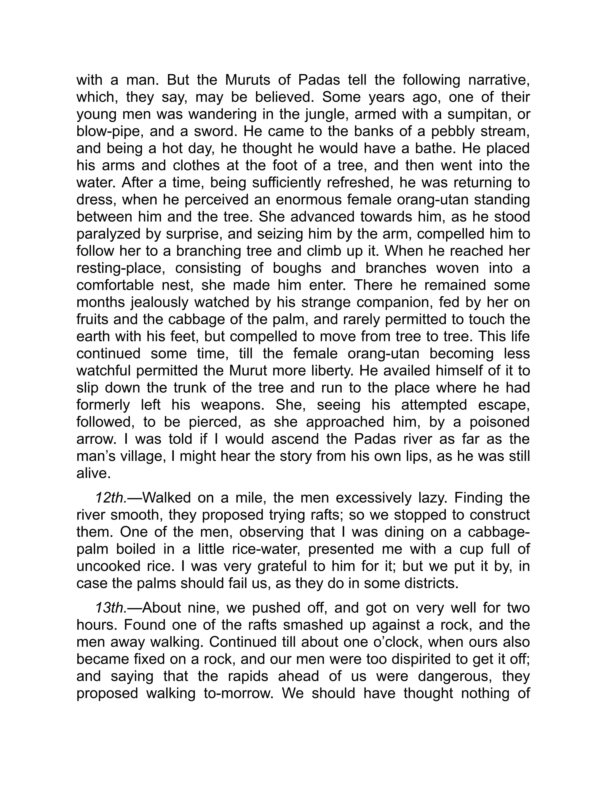 with a man. But the Muruts of Padas tell the following narrative,
which, they say, may be believed. Some years ago, one of their
young men was wandering in the jungle, armed with a sumpitan, or
blow-pipe, and a sword. He came to the banks of a pebbly stream,
and being a hot day, he thought he would have a bathe. He placed
his arms and clothes at the foot of a tree, and then went into the
water. After a time, being sufficiently refreshed, he was returning to
dress, when he perceived an enormous female orang-utan standing
between him and the tree. She advanced towards him, as he stood
paralyzed by surprise, and seizing him by the arm, compelled him to
follow her to a branching tree and climb up it. When he reached her
resting-place, consisting of boughs and branches woven into a
comfortable nest, she made him enter. There he remained some
months jealously watched by his strange companion, fed by her on
fruits and the cabbage of the palm, and rarely permitted to touch the
earth with his feet, but compelled to move from tree to tree. This life
continued some time, till the female orang-utan becoming less
watchful permitted the Murut more liberty. He availed himself of it to
slip down the trunk of the tree and run to the place where he had
formerly left his weapons. She, seeing his attempted escape,
followed, to be pierced, as she approached him, by a poisoned
arrow. I was told if I would ascend the Padas river as far as the
man’s village, I might hear the story from his own lips, as he was still
alive.
12th.—Walked on a mile, the men excessively lazy. Finding the
river smooth, they proposed trying rafts; so we stopped to construct
them. One of the men, observing that I was dining on a cabbage-
palm boiled in a little rice-water, presented me with a cup full of
uncooked rice. I was very grateful to him for it; but we put it by, in
case the palms should fail us, as they do in some districts.
13th.—About nine, we pushed off, and got on very well for two
hours. Found one of the rafts smashed up against a rock, and the
men away walking. Continued till about one o’clock, when ours also
became fixed on a rock, and our men were too dispirited to get it off;
and saying that the rapids ahead of us were dangerous, they
proposed walking to-morrow. We should have thought nothing of
 