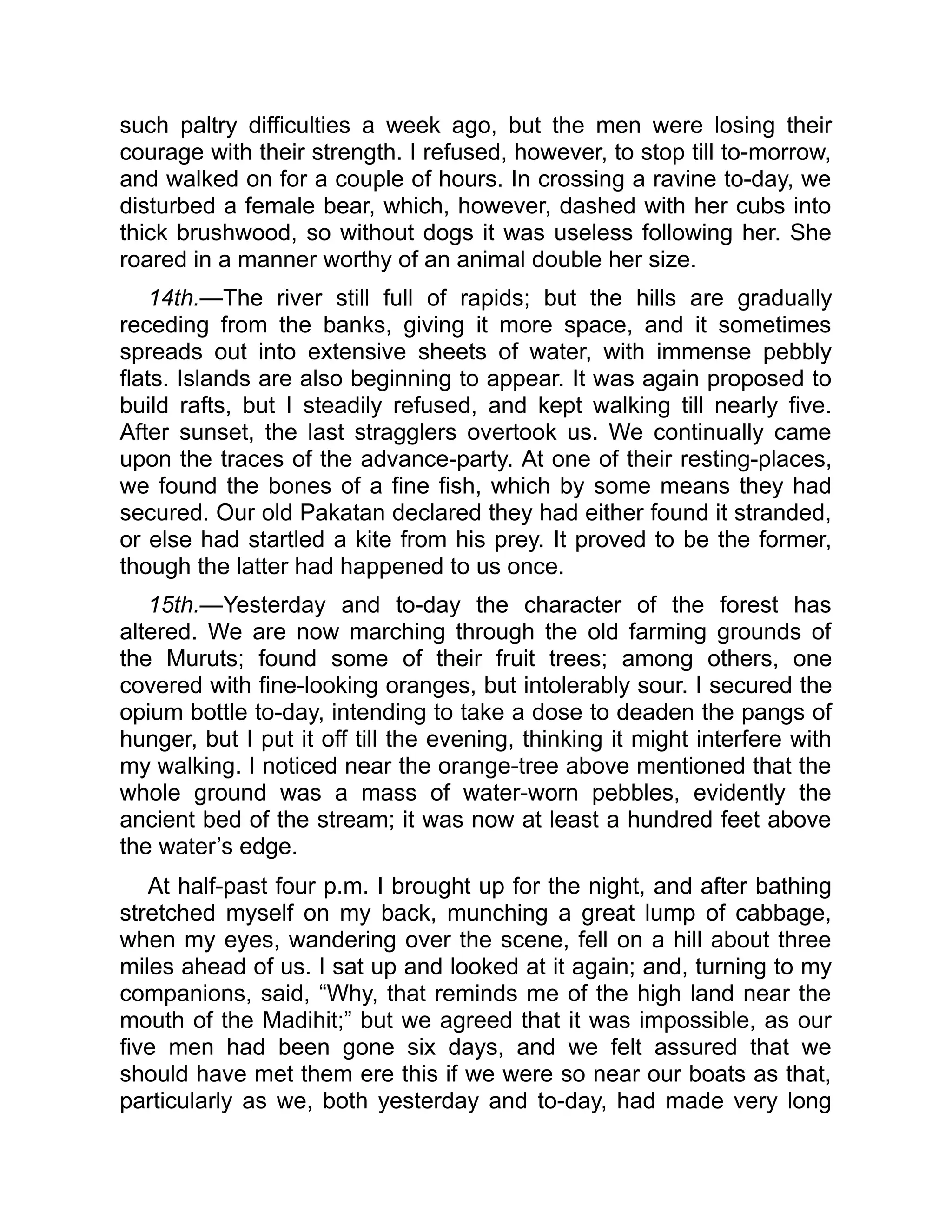 such paltry difficulties a week ago, but the men were losing their
courage with their strength. I refused, however, to stop till to-morrow,
and walked on for a couple of hours. In crossing a ravine to-day, we
disturbed a female bear, which, however, dashed with her cubs into
thick brushwood, so without dogs it was useless following her. She
roared in a manner worthy of an animal double her size.
14th.—The river still full of rapids; but the hills are gradually
receding from the banks, giving it more space, and it sometimes
spreads out into extensive sheets of water, with immense pebbly
flats. Islands are also beginning to appear. It was again proposed to
build rafts, but I steadily refused, and kept walking till nearly five.
After sunset, the last stragglers overtook us. We continually came
upon the traces of the advance-party. At one of their resting-places,
we found the bones of a fine fish, which by some means they had
secured. Our old Pakatan declared they had either found it stranded,
or else had startled a kite from his prey. It proved to be the former,
though the latter had happened to us once.
15th.—Yesterday and to-day the character of the forest has
altered. We are now marching through the old farming grounds of
the Muruts; found some of their fruit trees; among others, one
covered with fine-looking oranges, but intolerably sour. I secured the
opium bottle to-day, intending to take a dose to deaden the pangs of
hunger, but I put it off till the evening, thinking it might interfere with
my walking. I noticed near the orange-tree above mentioned that the
whole ground was a mass of water-worn pebbles, evidently the
ancient bed of the stream; it was now at least a hundred feet above
the water’s edge.
At half-past four p.m. I brought up for the night, and after bathing
stretched myself on my back, munching a great lump of cabbage,
when my eyes, wandering over the scene, fell on a hill about three
miles ahead of us. I sat up and looked at it again; and, turning to my
companions, said, “Why, that reminds me of the high land near the
mouth of the Madihit;” but we agreed that it was impossible, as our
five men had been gone six days, and we felt assured that we
should have met them ere this if we were so near our boats as that,
particularly as we, both yesterday and to-day, had made very long
 