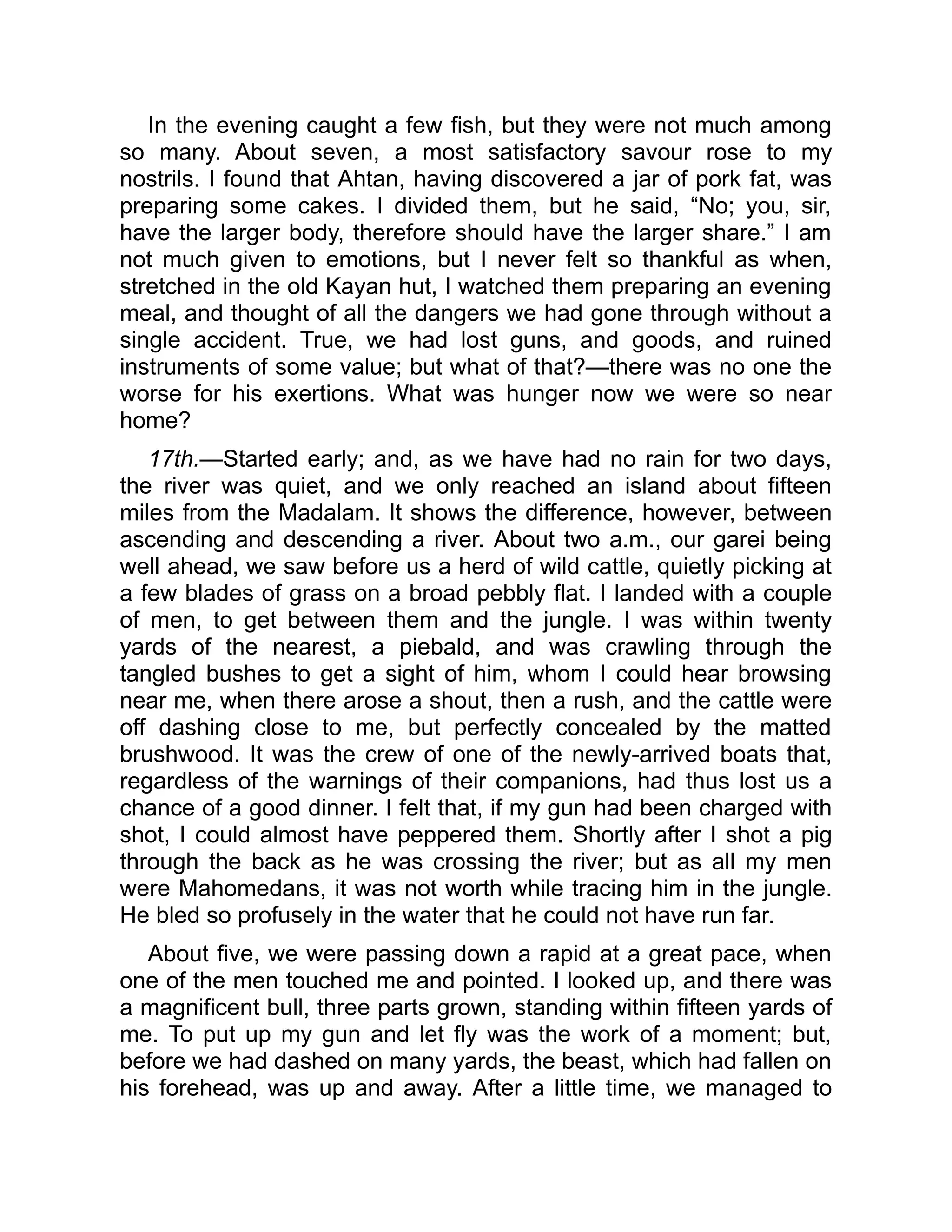 In the evening caught a few fish, but they were not much among
so many. About seven, a most satisfactory savour rose to my
nostrils. I found that Ahtan, having discovered a jar of pork fat, was
preparing some cakes. I divided them, but he said, “No; you, sir,
have the larger body, therefore should have the larger share.” I am
not much given to emotions, but I never felt so thankful as when,
stretched in the old Kayan hut, I watched them preparing an evening
meal, and thought of all the dangers we had gone through without a
single accident. True, we had lost guns, and goods, and ruined
instruments of some value; but what of that?—there was no one the
worse for his exertions. What was hunger now we were so near
home?
17th.—Started early; and, as we have had no rain for two days,
the river was quiet, and we only reached an island about fifteen
miles from the Madalam. It shows the difference, however, between
ascending and descending a river. About two a.m., our garei being
well ahead, we saw before us a herd of wild cattle, quietly picking at
a few blades of grass on a broad pebbly flat. I landed with a couple
of men, to get between them and the jungle. I was within twenty
yards of the nearest, a piebald, and was crawling through the
tangled bushes to get a sight of him, whom I could hear browsing
near me, when there arose a shout, then a rush, and the cattle were
off dashing close to me, but perfectly concealed by the matted
brushwood. It was the crew of one of the newly-arrived boats that,
regardless of the warnings of their companions, had thus lost us a
chance of a good dinner. I felt that, if my gun had been charged with
shot, I could almost have peppered them. Shortly after I shot a pig
through the back as he was crossing the river; but as all my men
were Mahomedans, it was not worth while tracing him in the jungle.
He bled so profusely in the water that he could not have run far.
About five, we were passing down a rapid at a great pace, when
one of the men touched me and pointed. I looked up, and there was
a magnificent bull, three parts grown, standing within fifteen yards of
me. To put up my gun and let fly was the work of a moment; but,
before we had dashed on many yards, the beast, which had fallen on
his forehead, was up and away. After a little time, we managed to
 